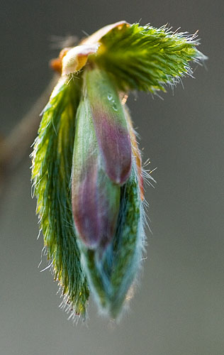 Galeriebild