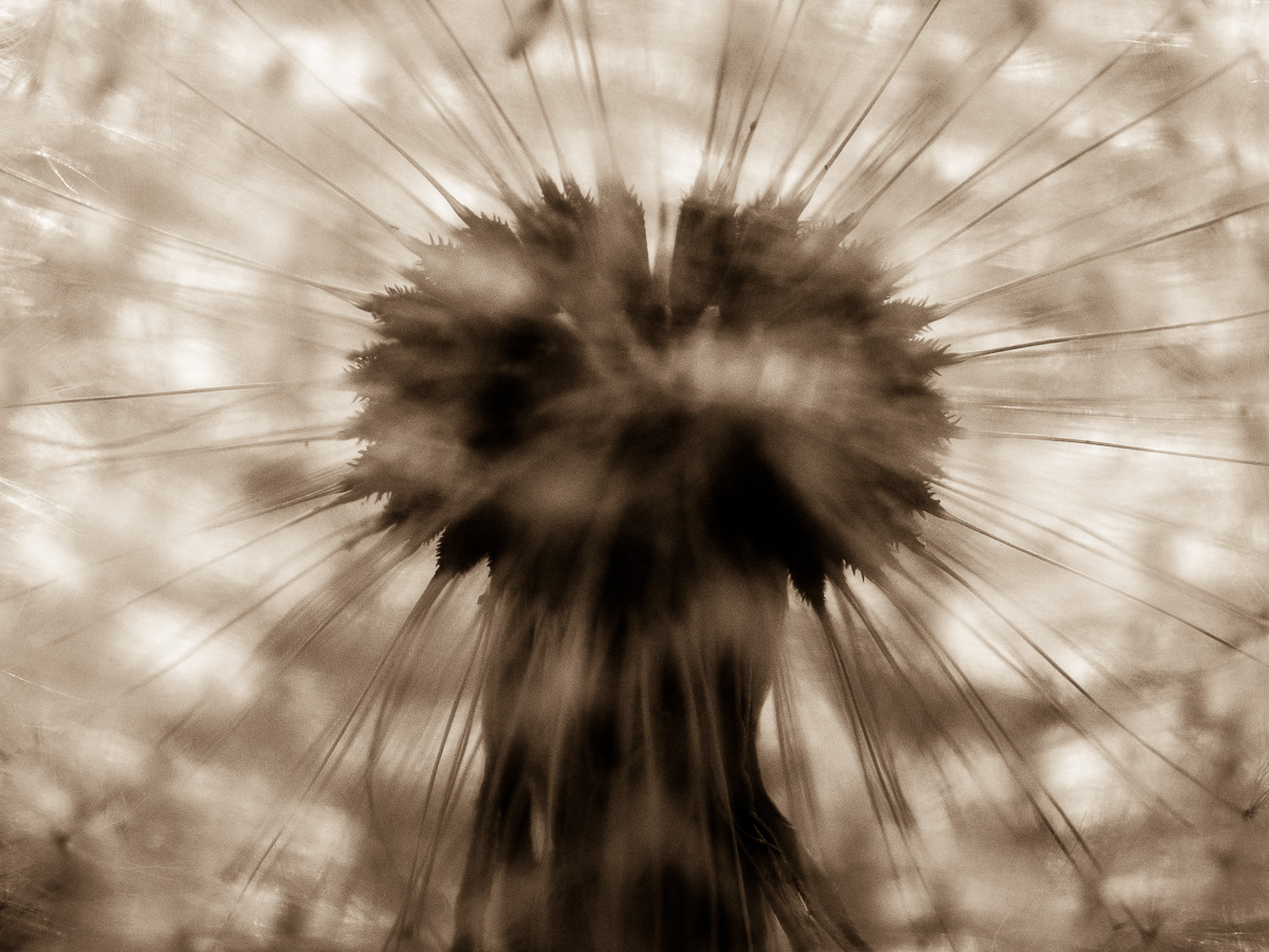 Galeriebild