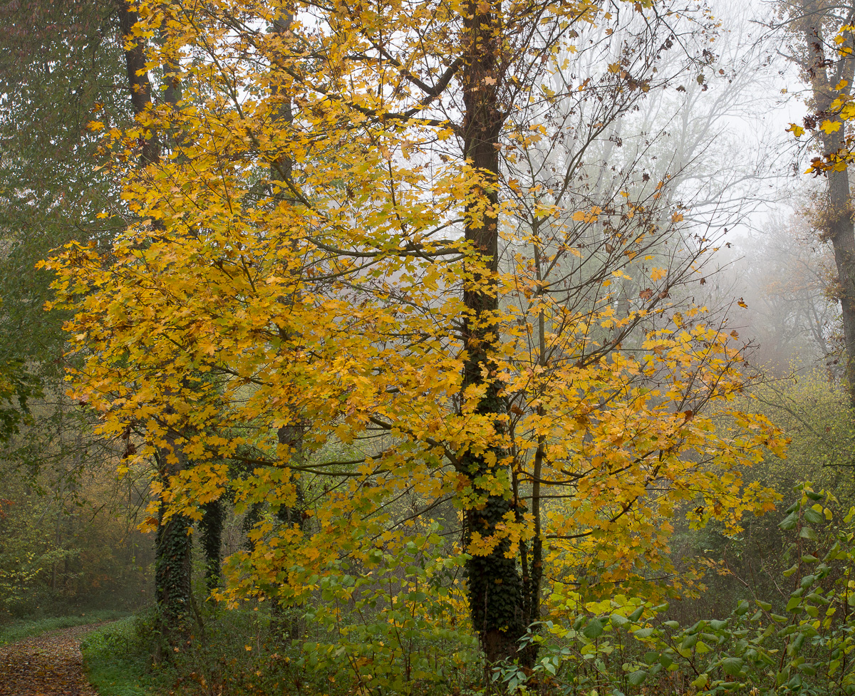 Galeriebild