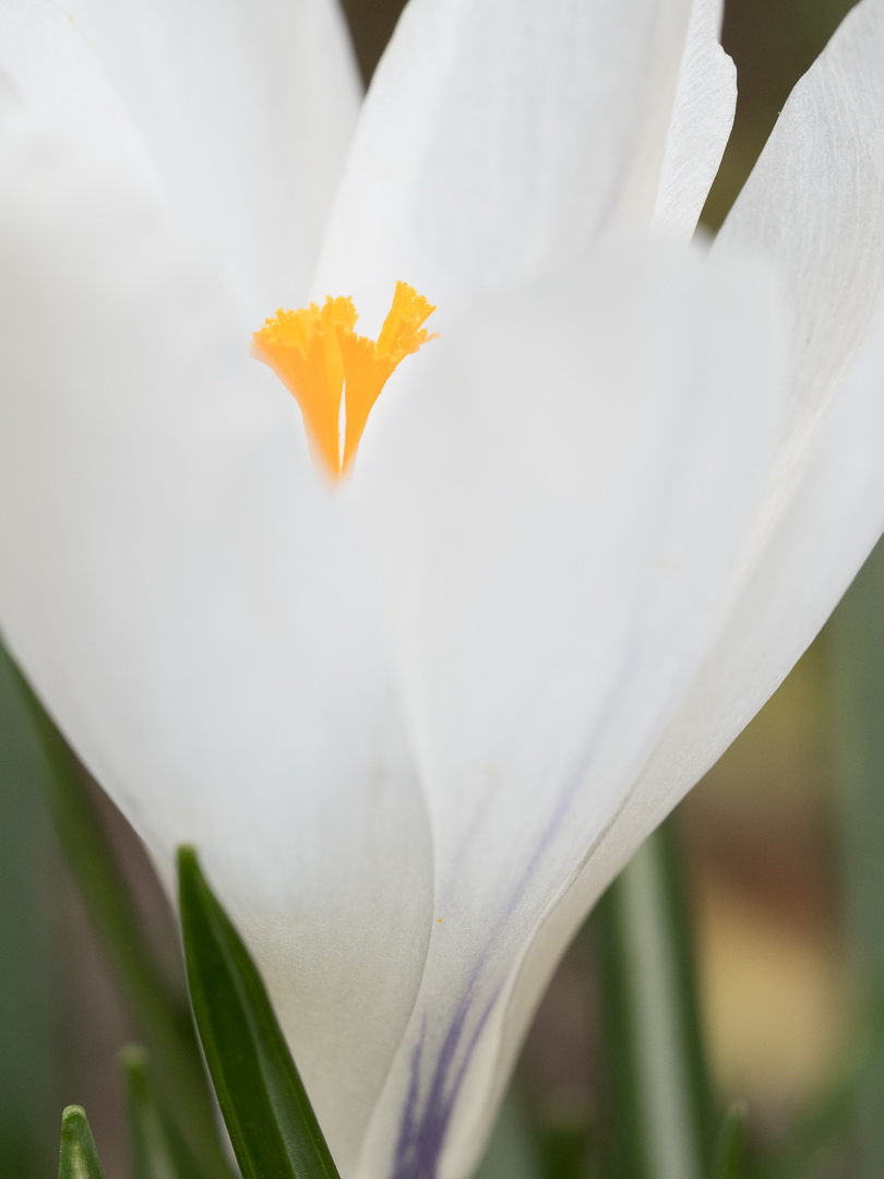Galeriebild
