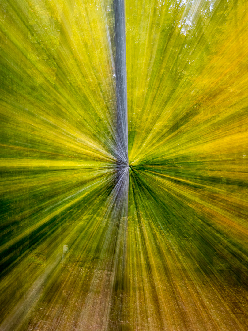 Galeriebild