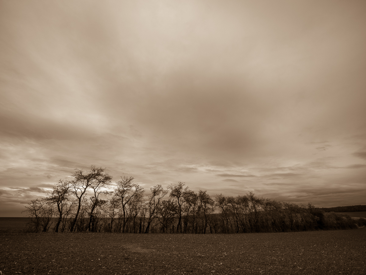 Galeriebild