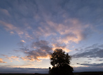 Bild anschauen