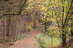 Bild anschauen
