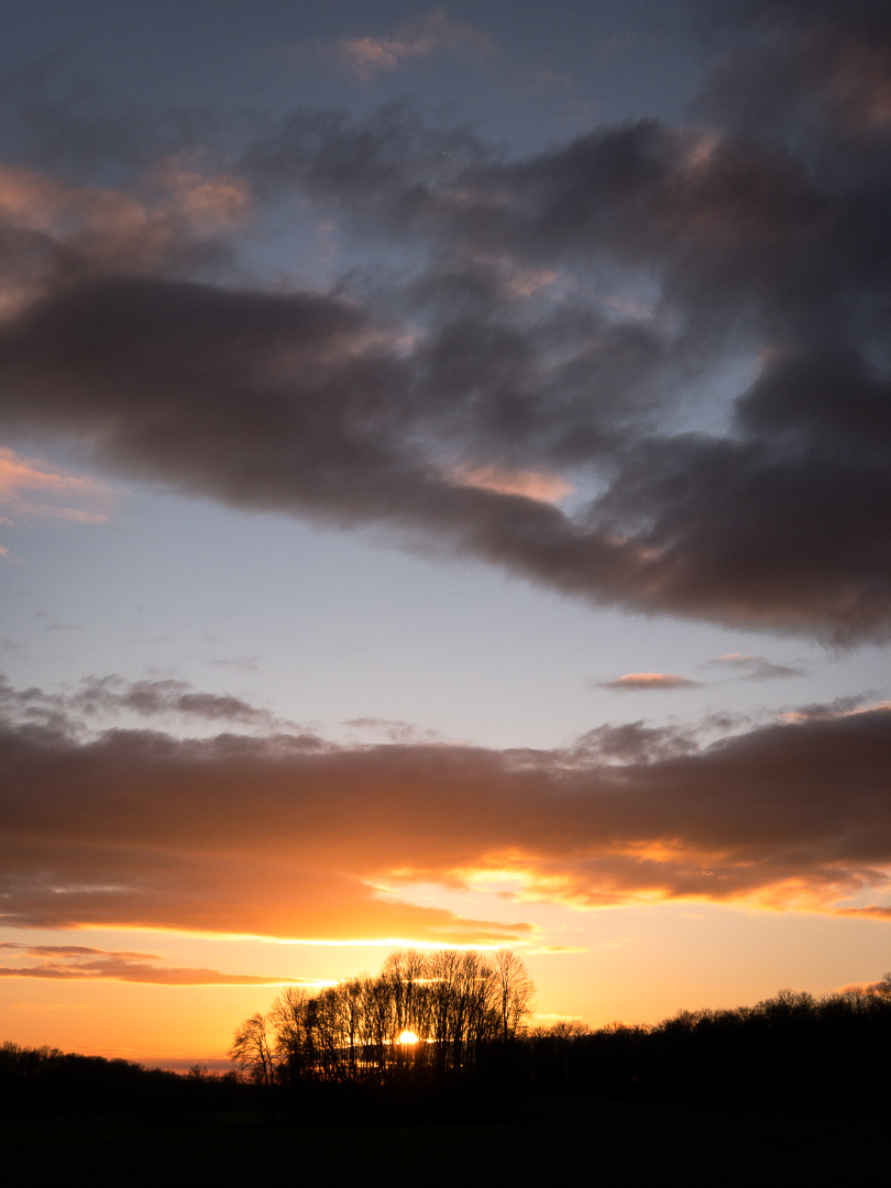 Galeriebild