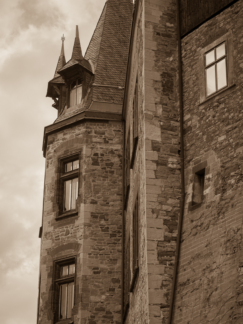 Galeriebild