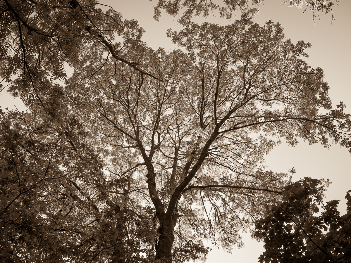 Galeriebild