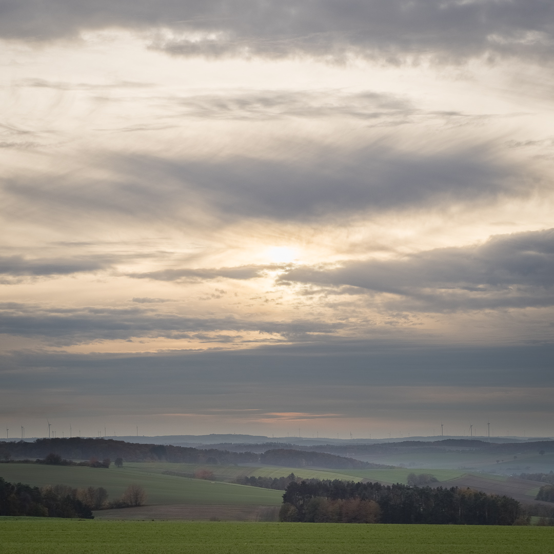 Galeriebild