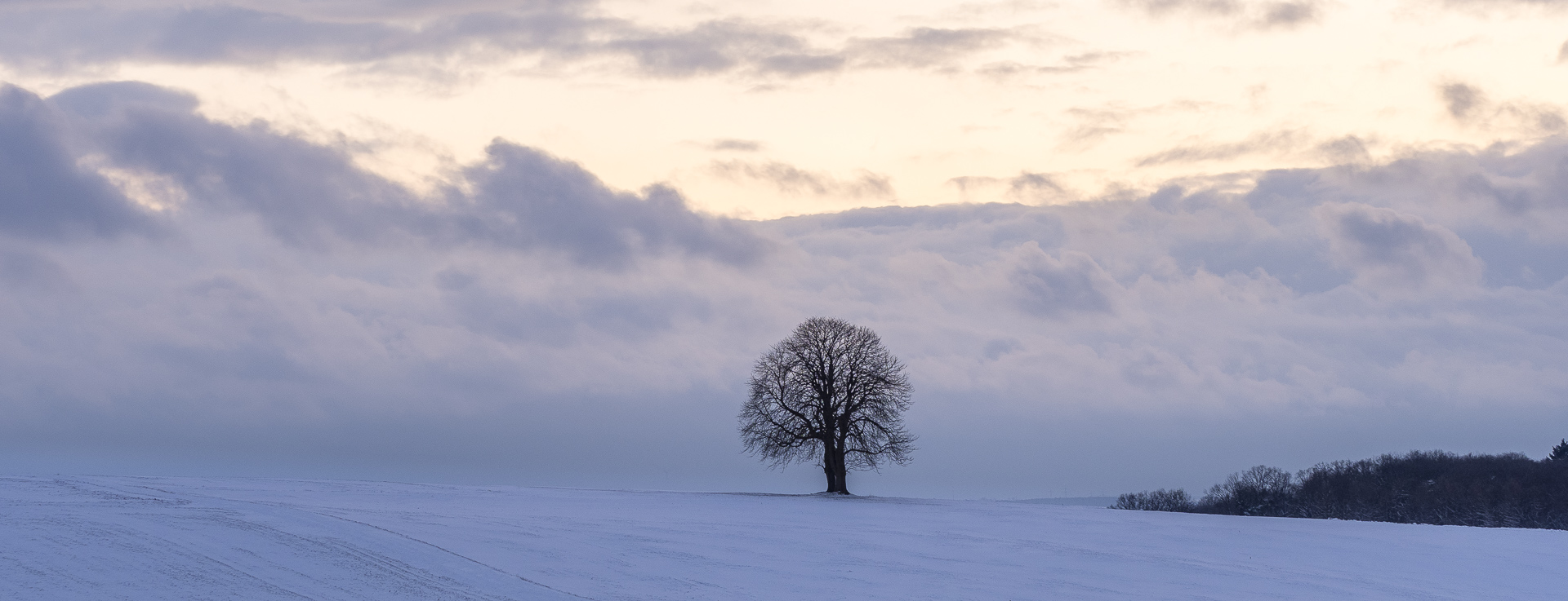 Galeriebild