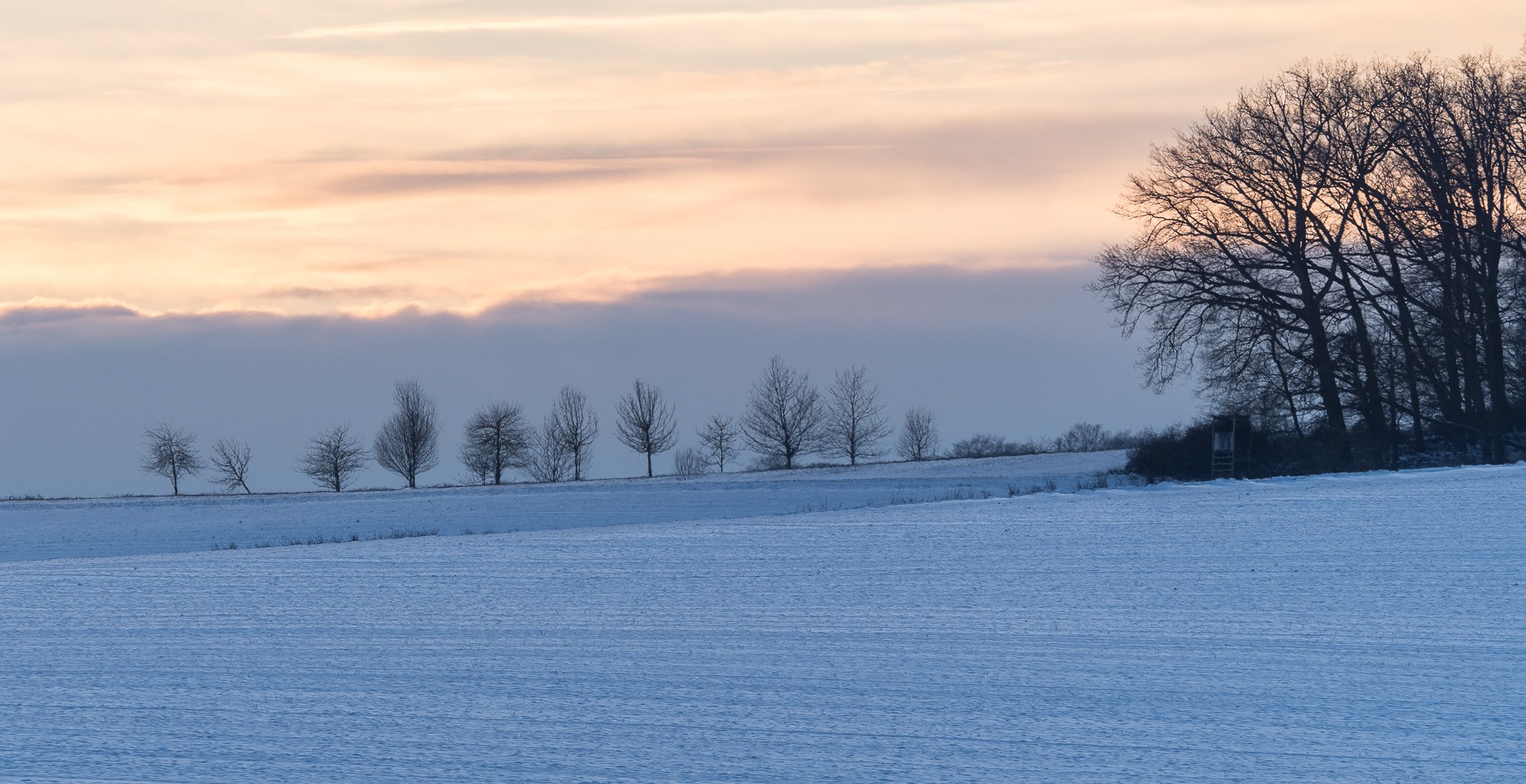 Galeriebild
