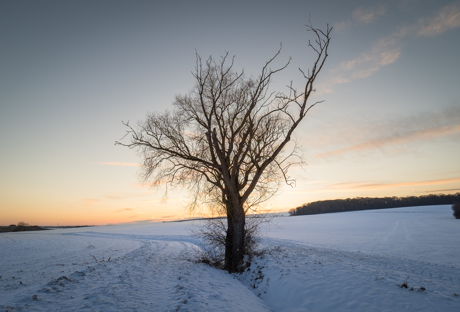 Galeriebild