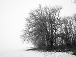Bild anschauen