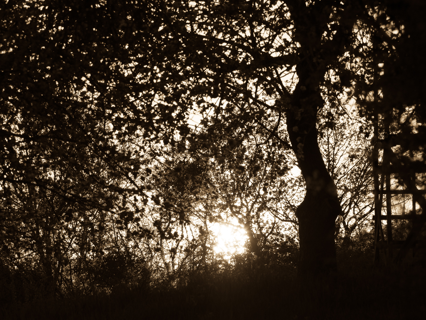 Galeriebild