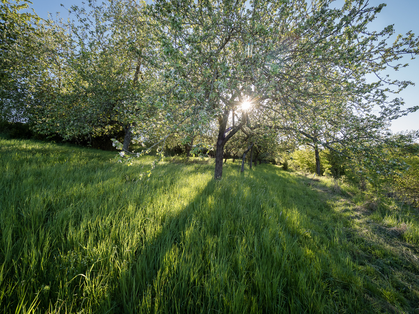 Galeriebild