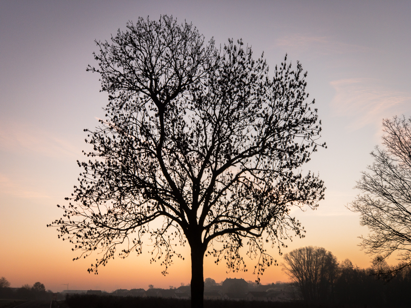 Galeriebild