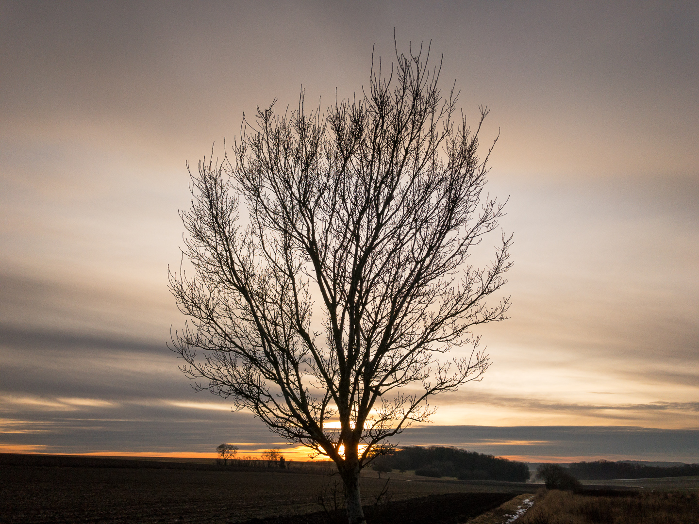 Galeriebild