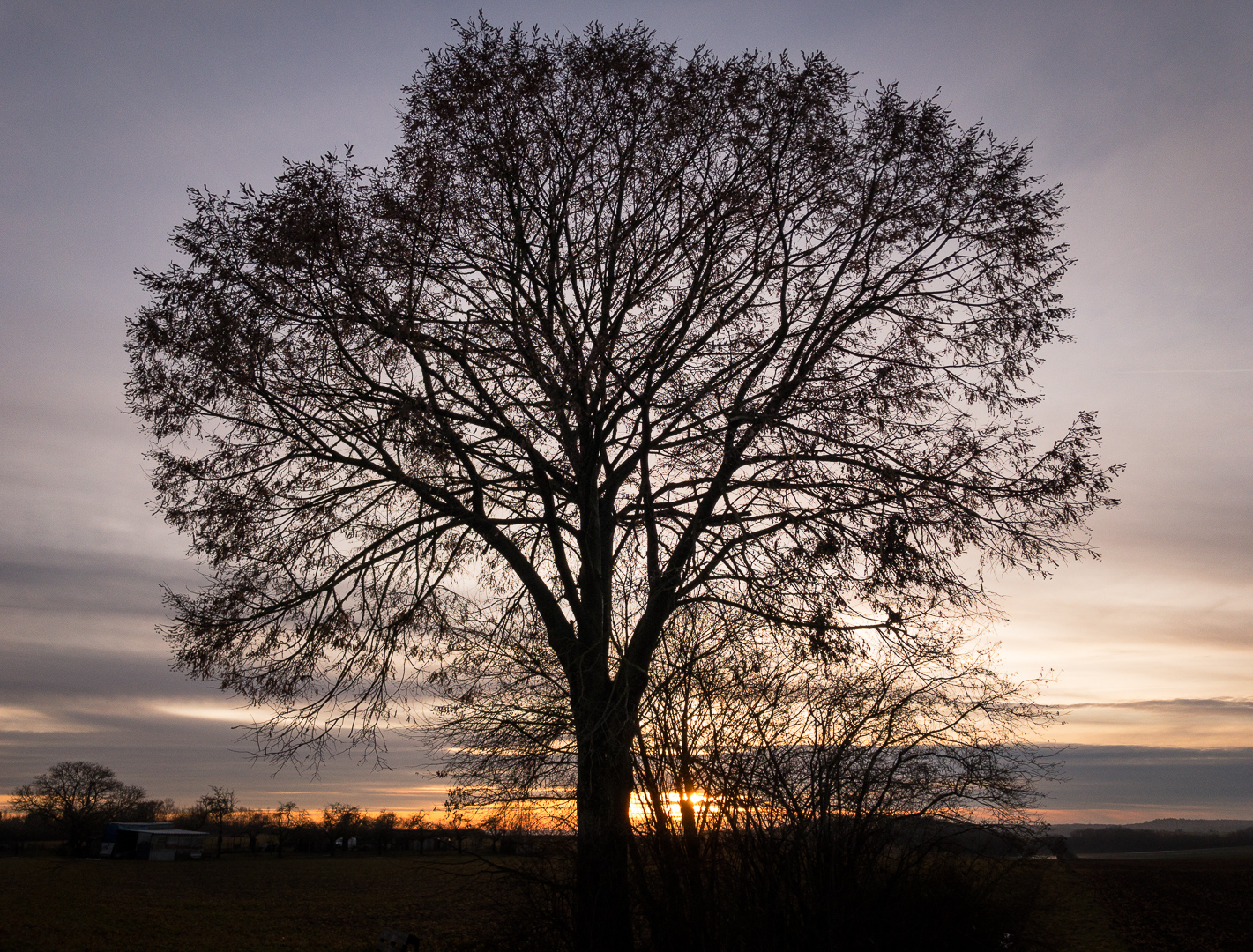 Galeriebild